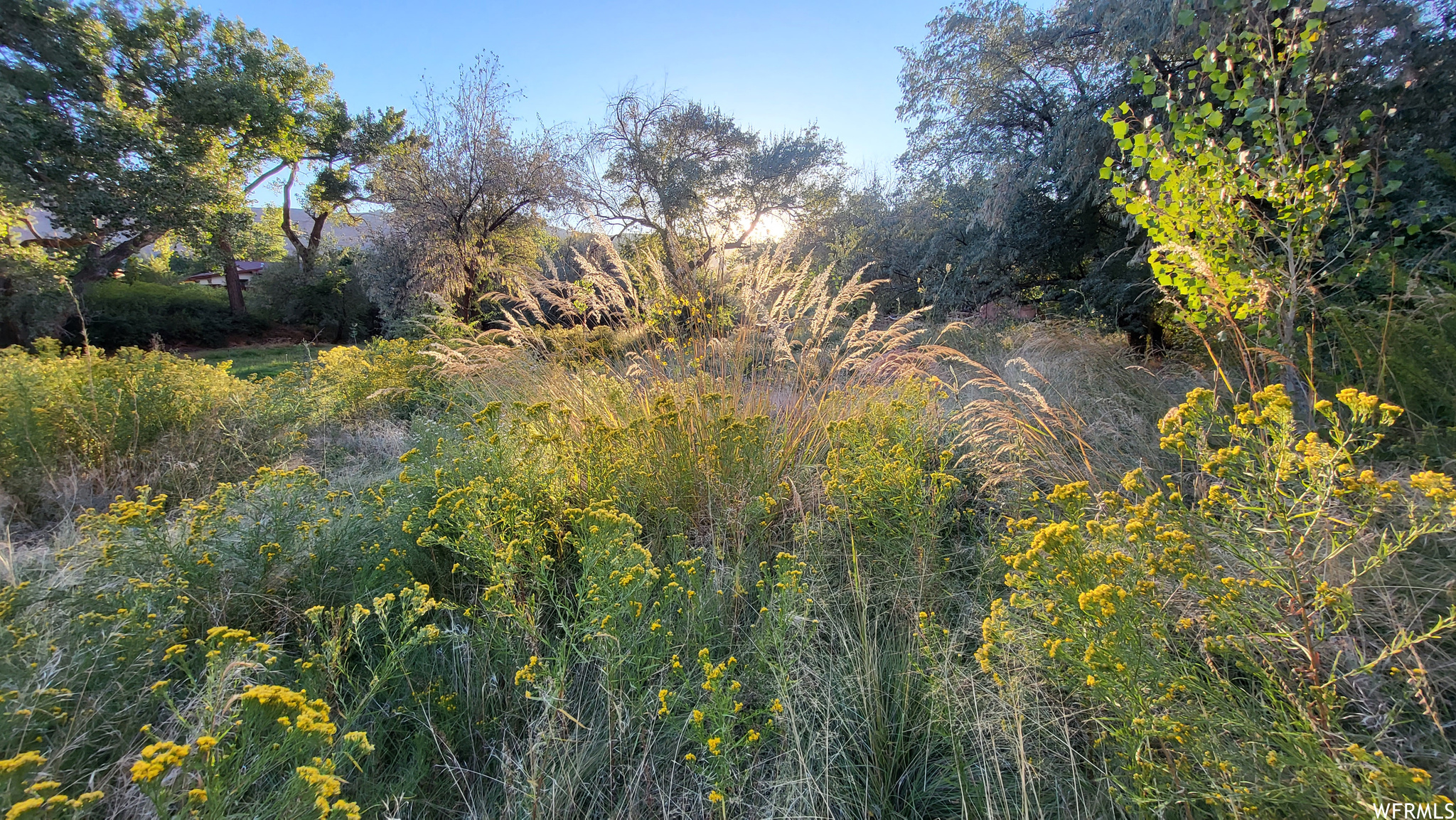 1389 E POWERHOUSE LN