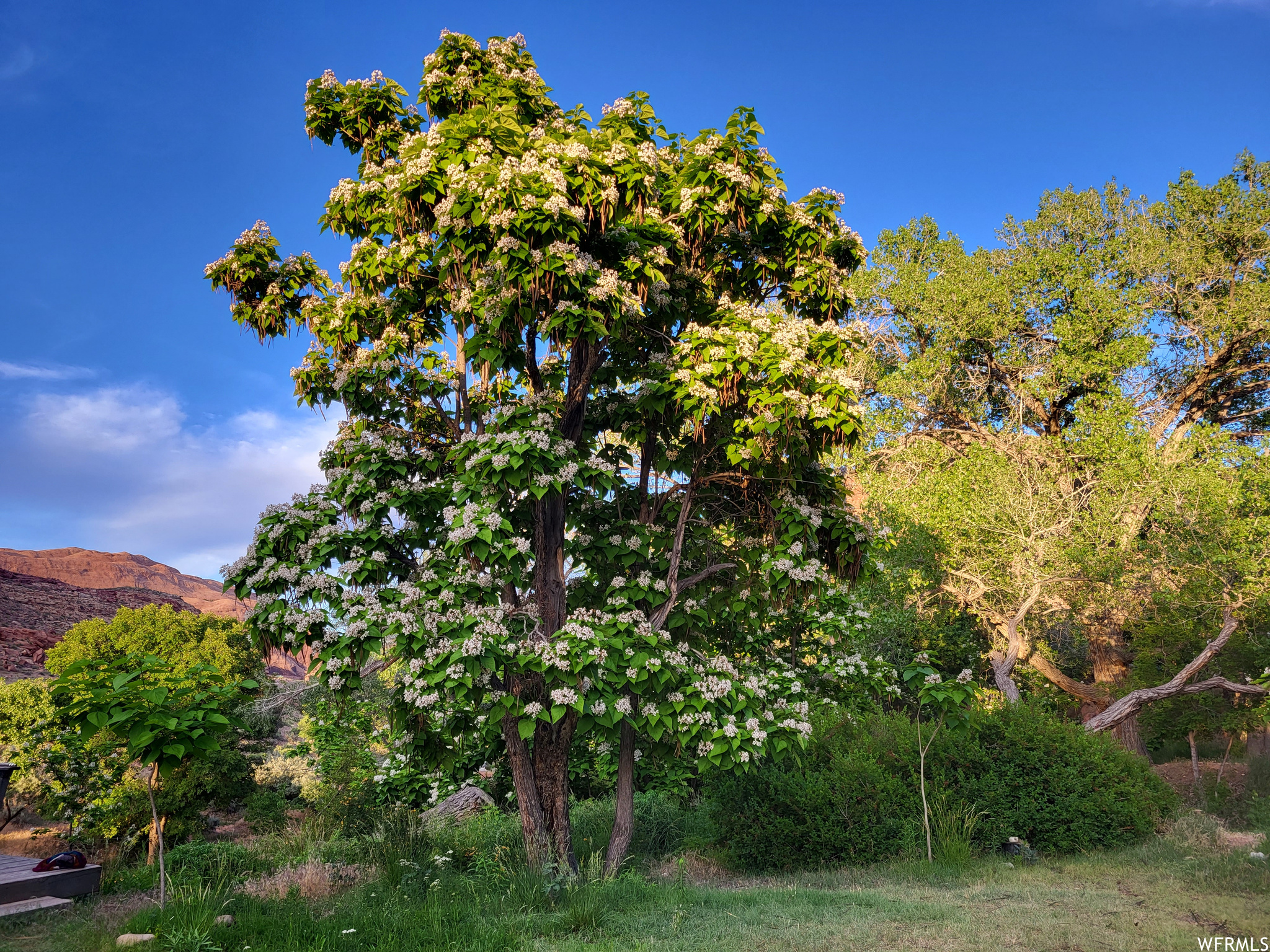 1389 E POWERHOUSE LN