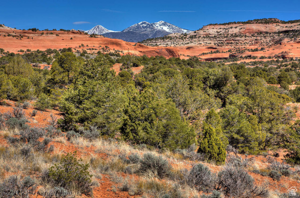 33 S JOE WILSON DR #E