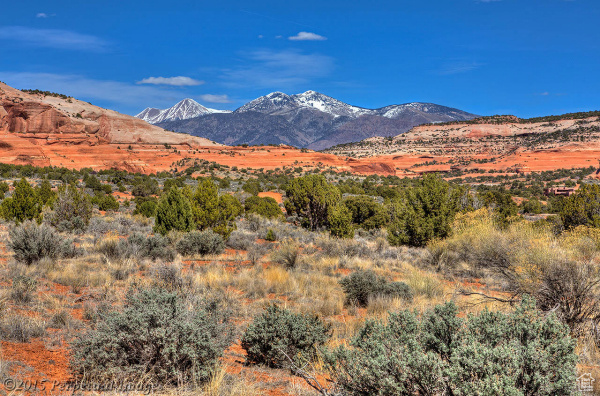 33 S JOE WILSON DR #E