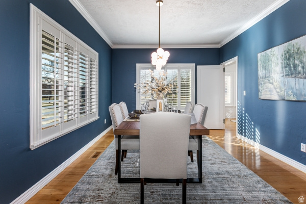 4536 W SILENT RAIN DR