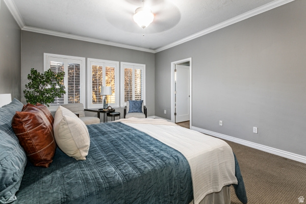 4536 W SILENT RAIN DR