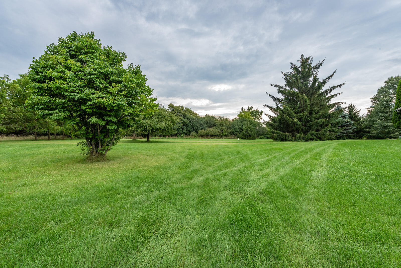 306 Castle Cove Way