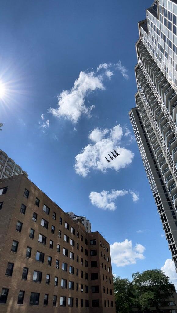 1660 N Prospect Ave Unit: 1206
