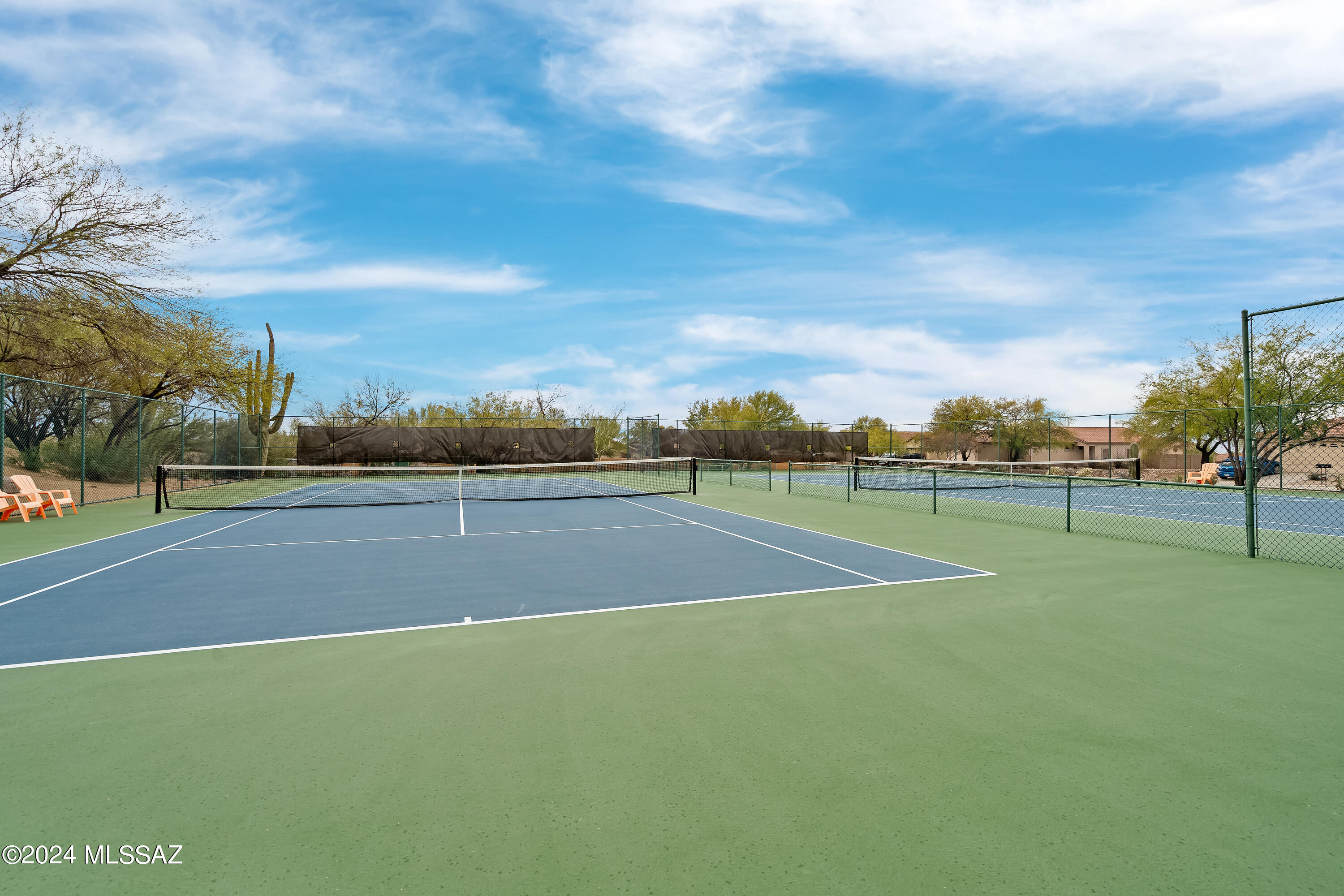 12695 N Blue Sage Drive