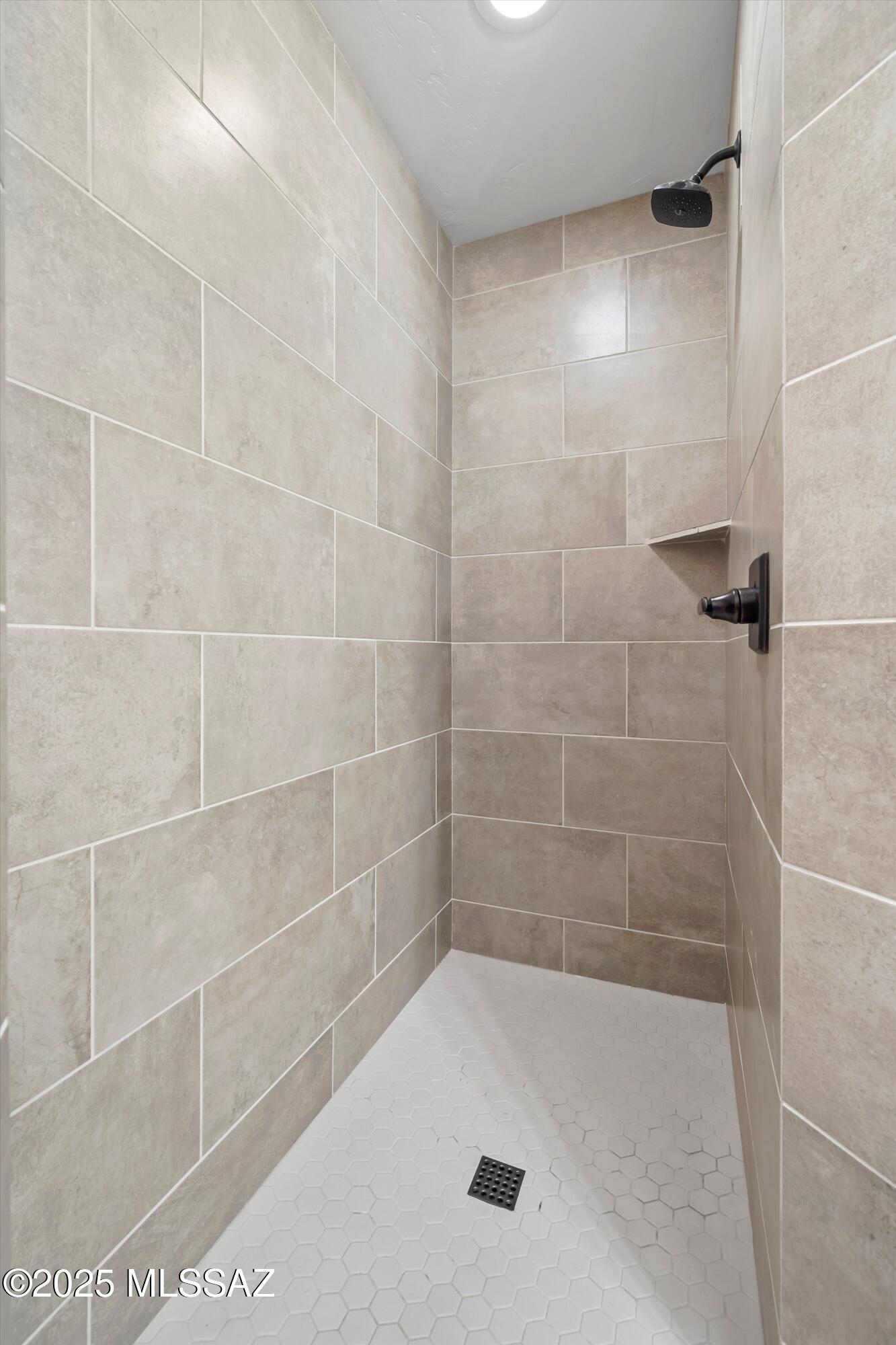 4455 W Placita Roca Escondida W