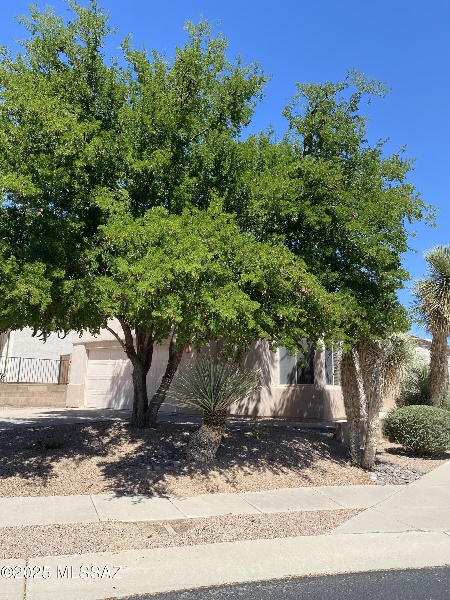 7381 E Placita Luz De La Luna