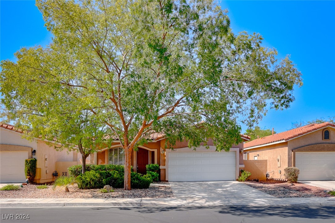 2287 Chestnut Bluffs Avenue