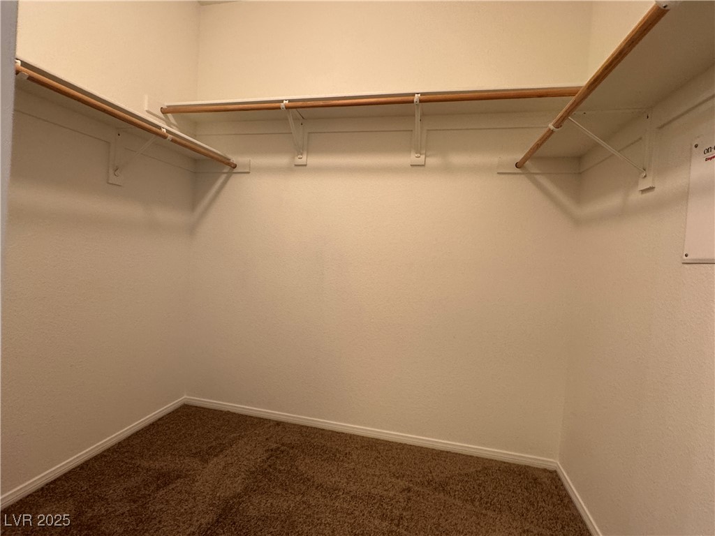 7848 SOLID HORN Court