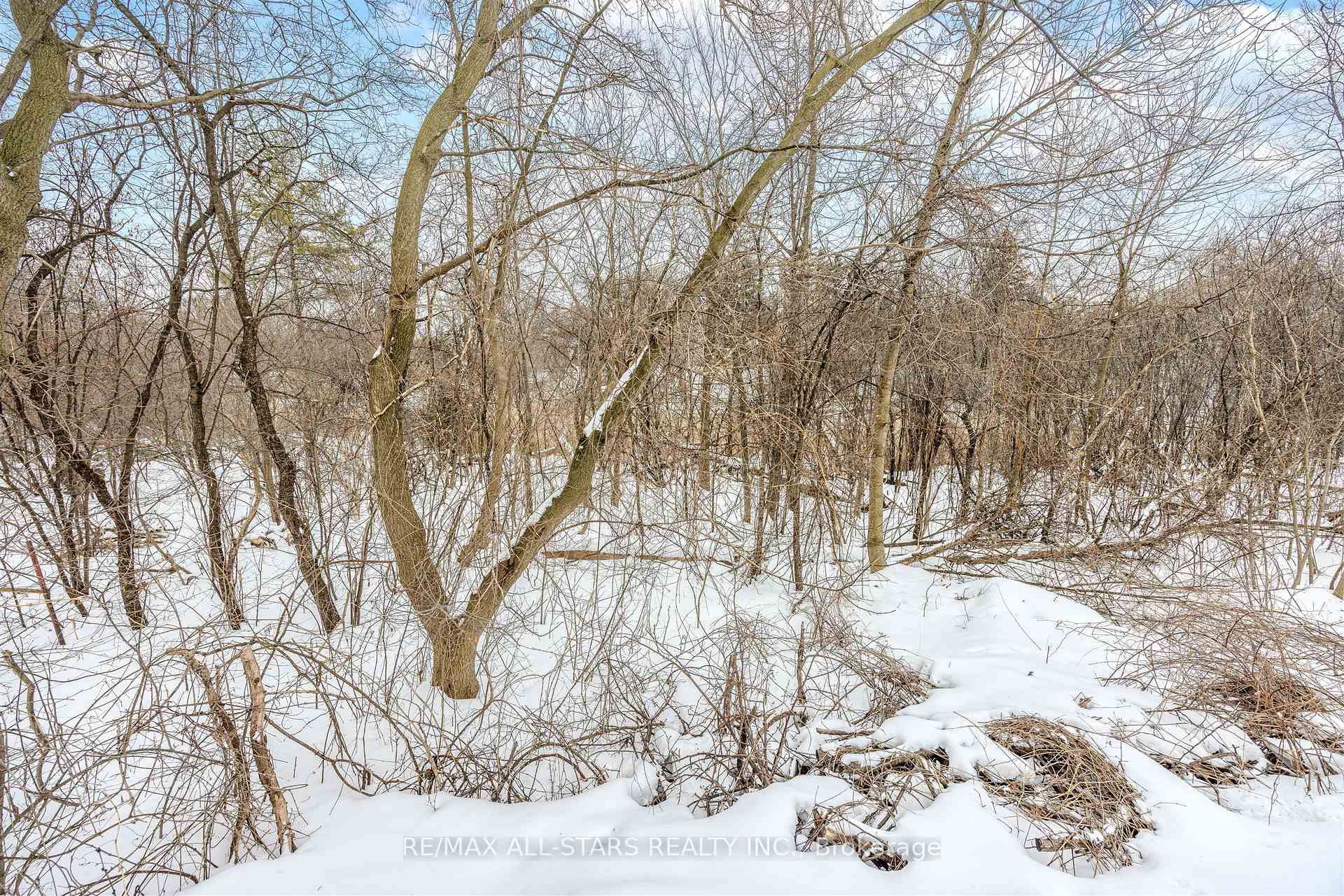 559 Meadowvale Road