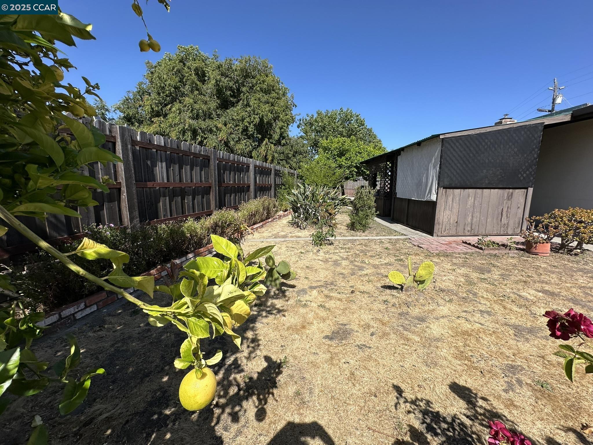 1202 Salida Way