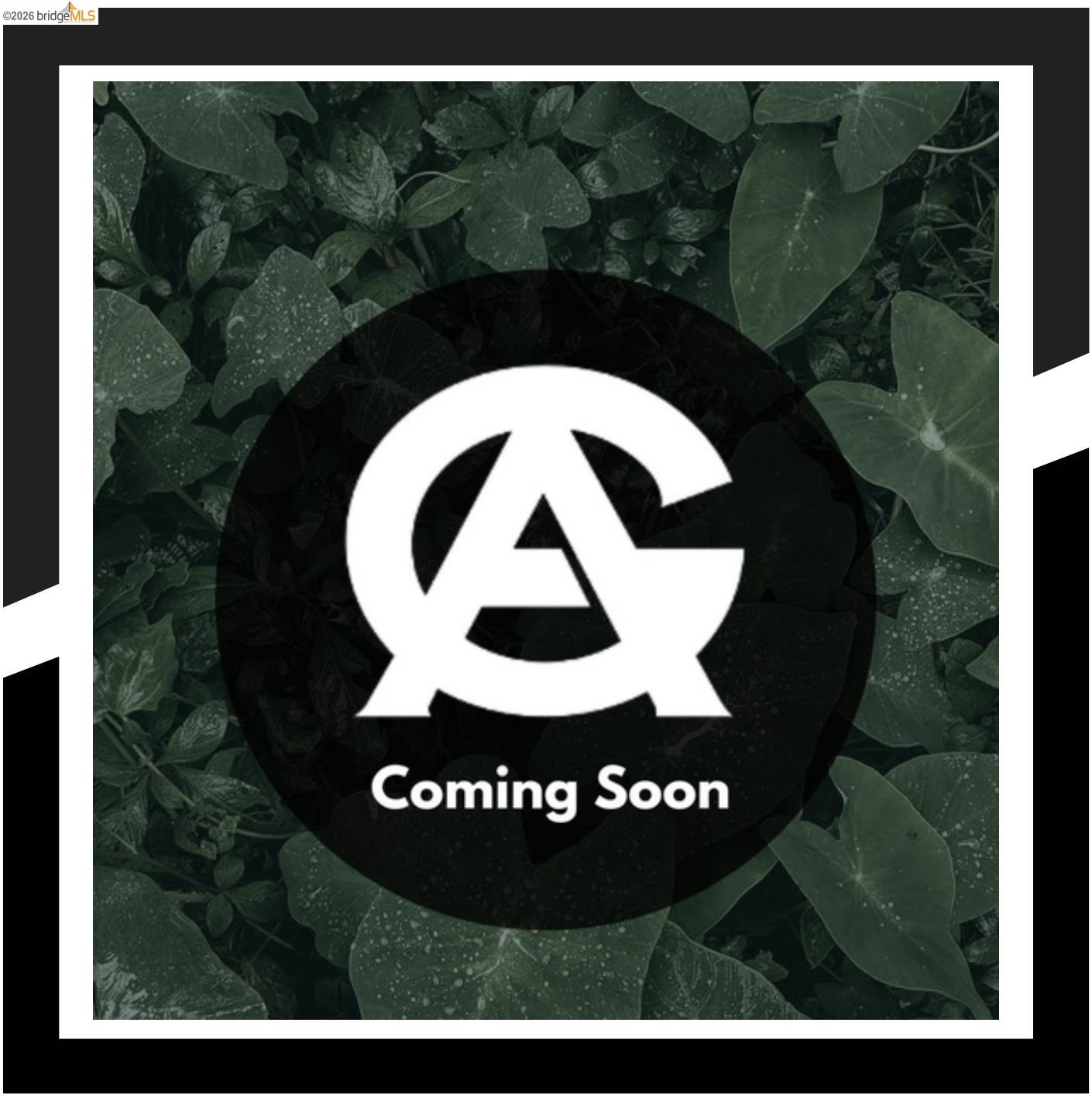 Coming Soon listing graphic with a stylized white monogram over leafy foliage.