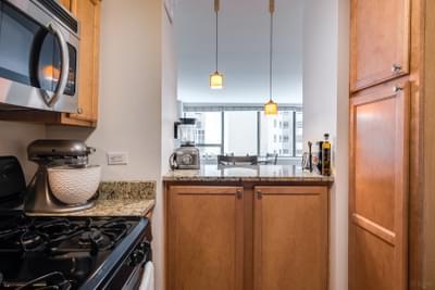 2800 N Lake Shore Drive Unit: 813