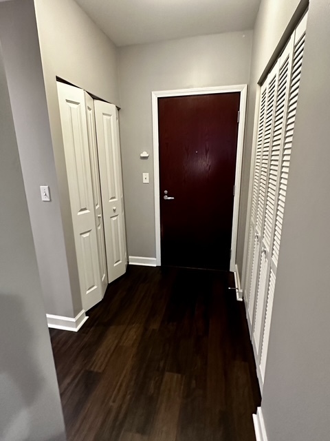 1250 S Michigan Avenue Unit: 1207