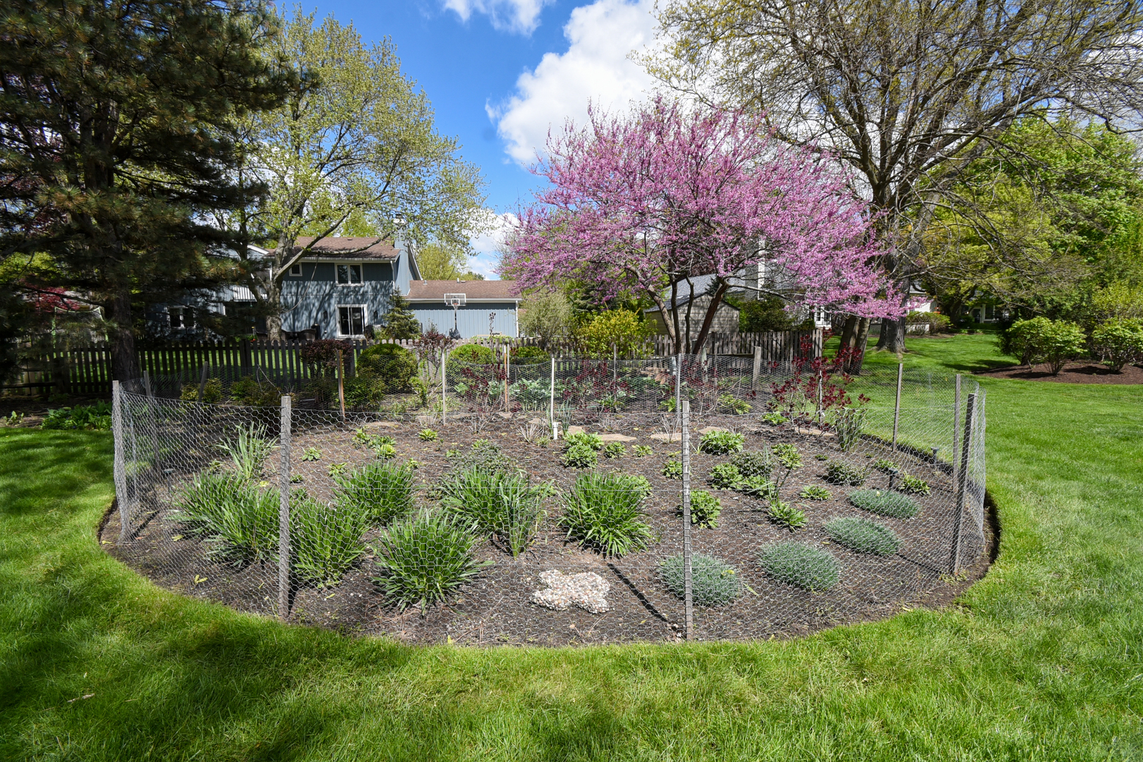 545 Sedgwick Drive