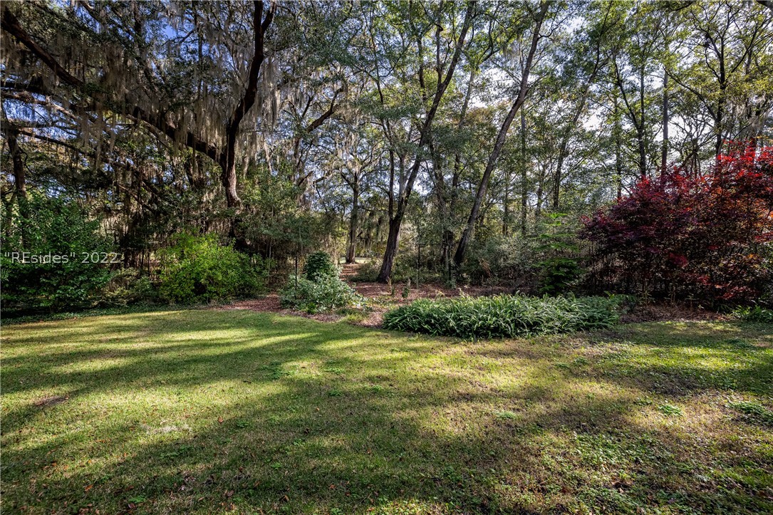 6 Bird Patch Trail