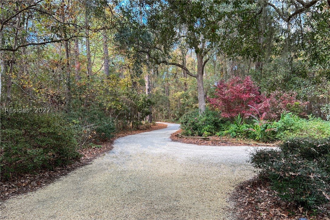 6 Bird Patch Trail