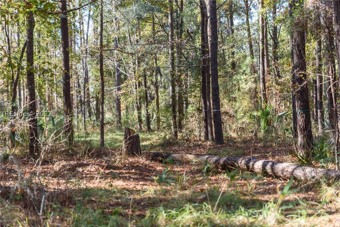 31 Rose Dhu Creek Plantation Drive