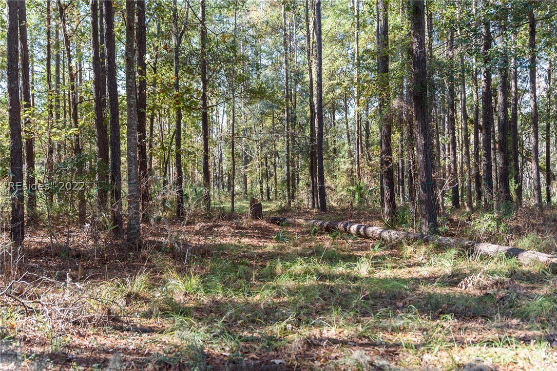 31 Rose Dhu Creek Plantation Drive