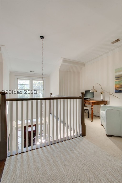 42 Blue Willow Street
