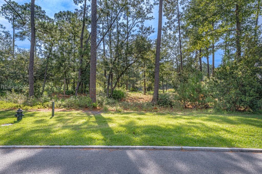 295 Waterfowl Road