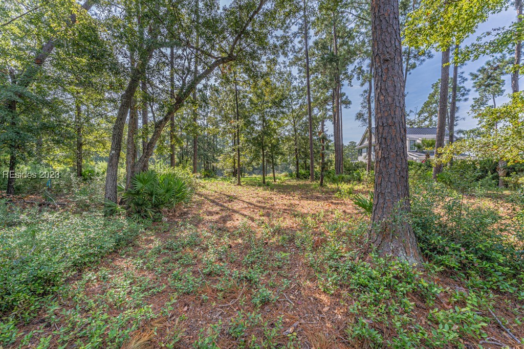 295 Waterfowl Road