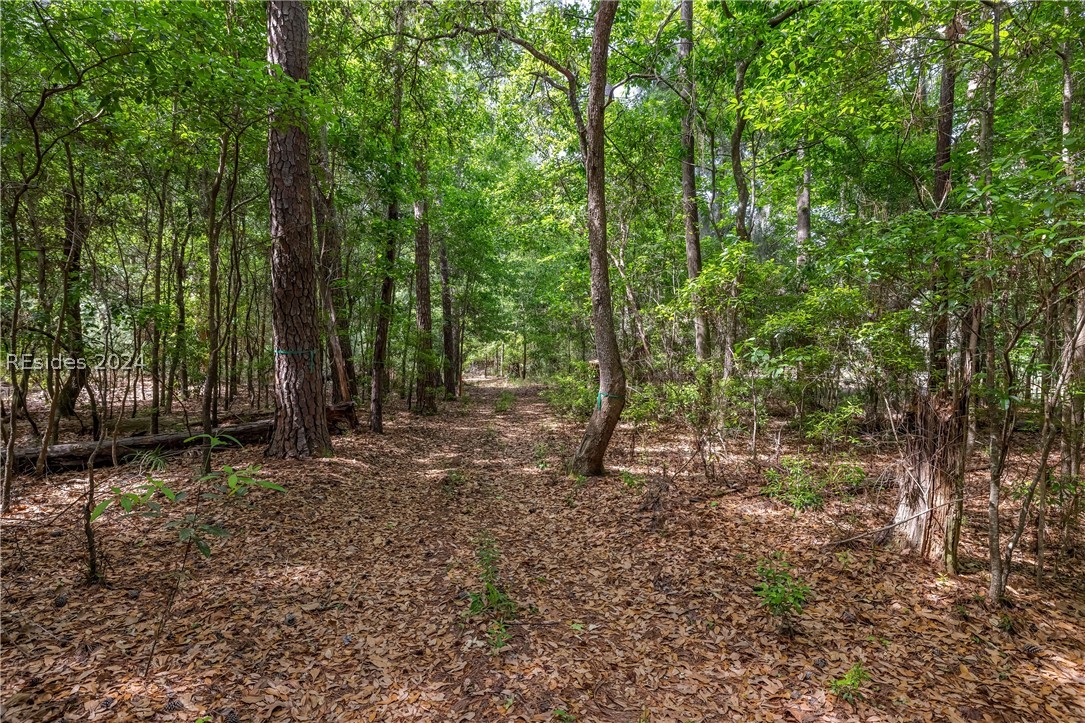 22 Smilax Vine Road