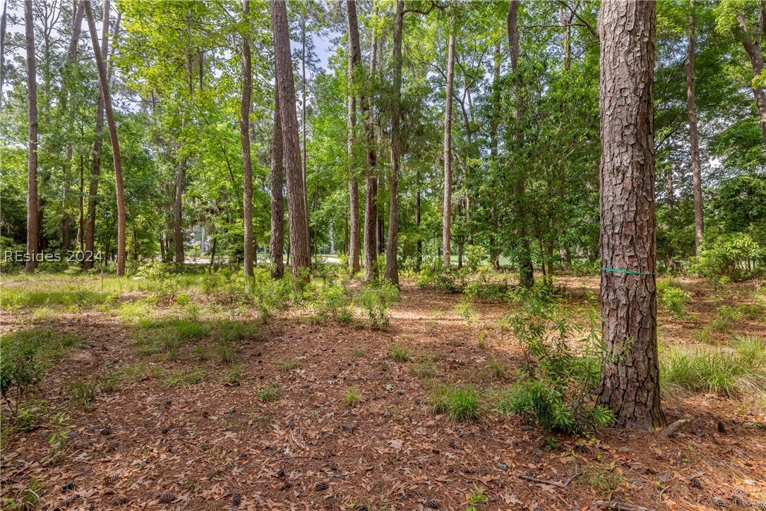 22 Smilax Vine Road