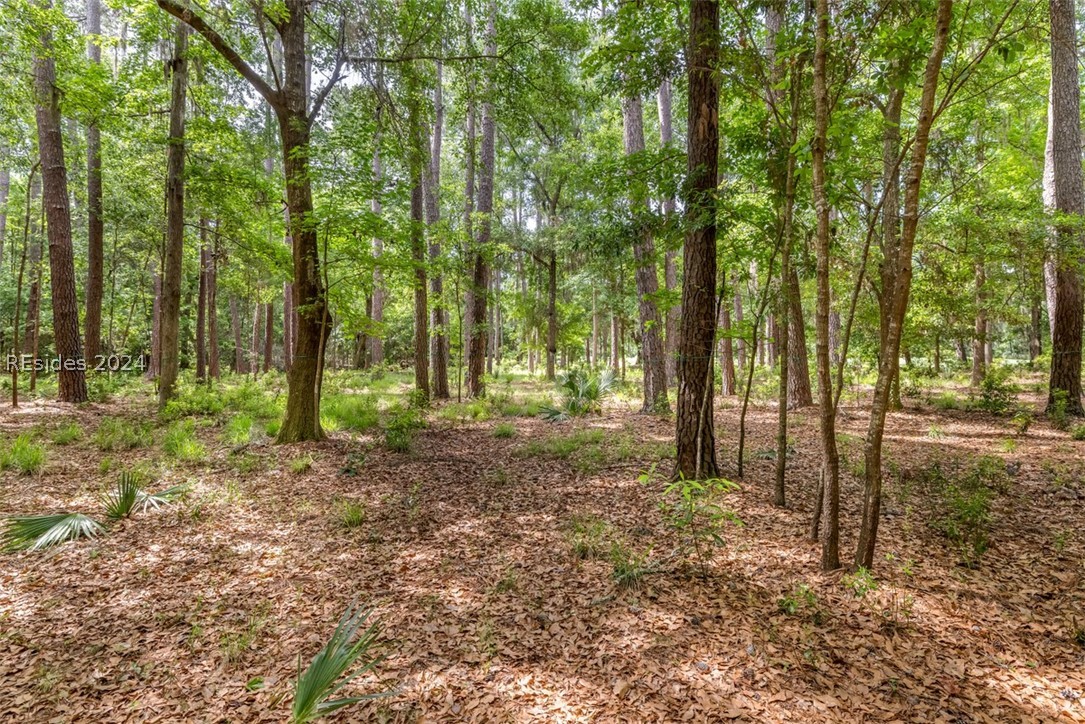 22 Smilax Vine Road