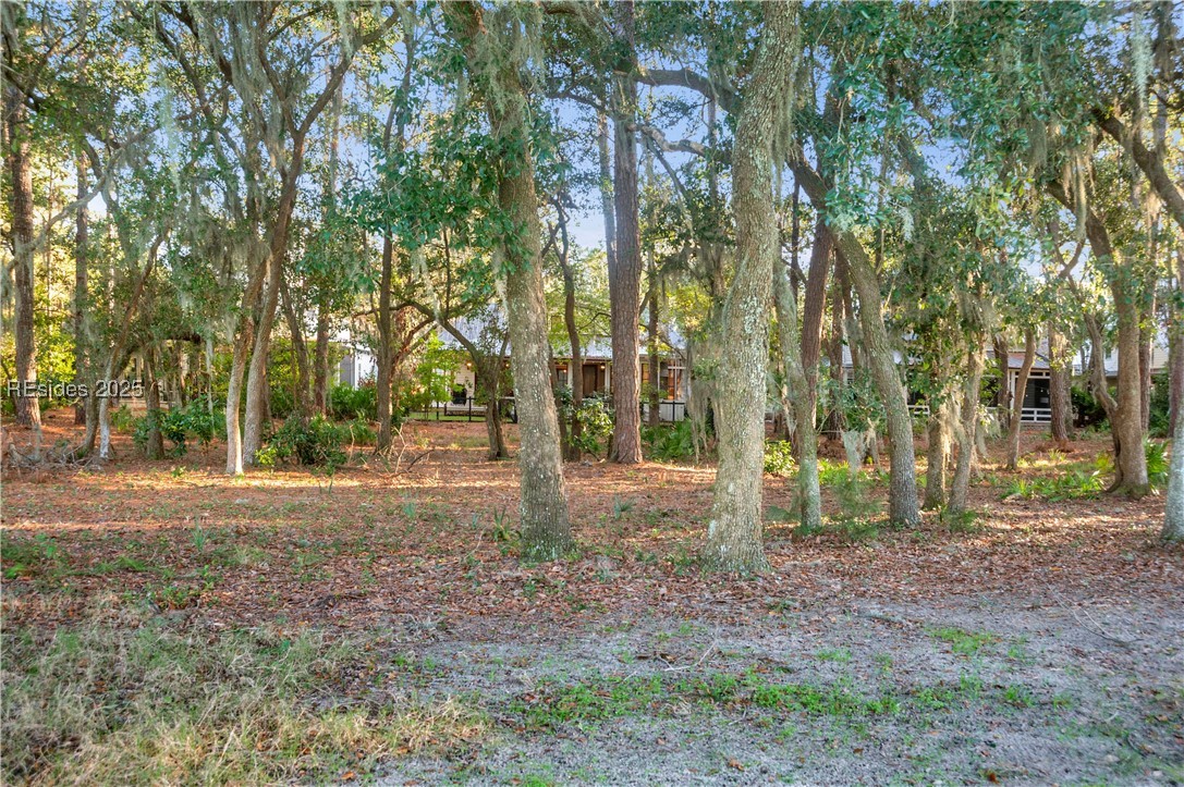 54 Blue Willow Street