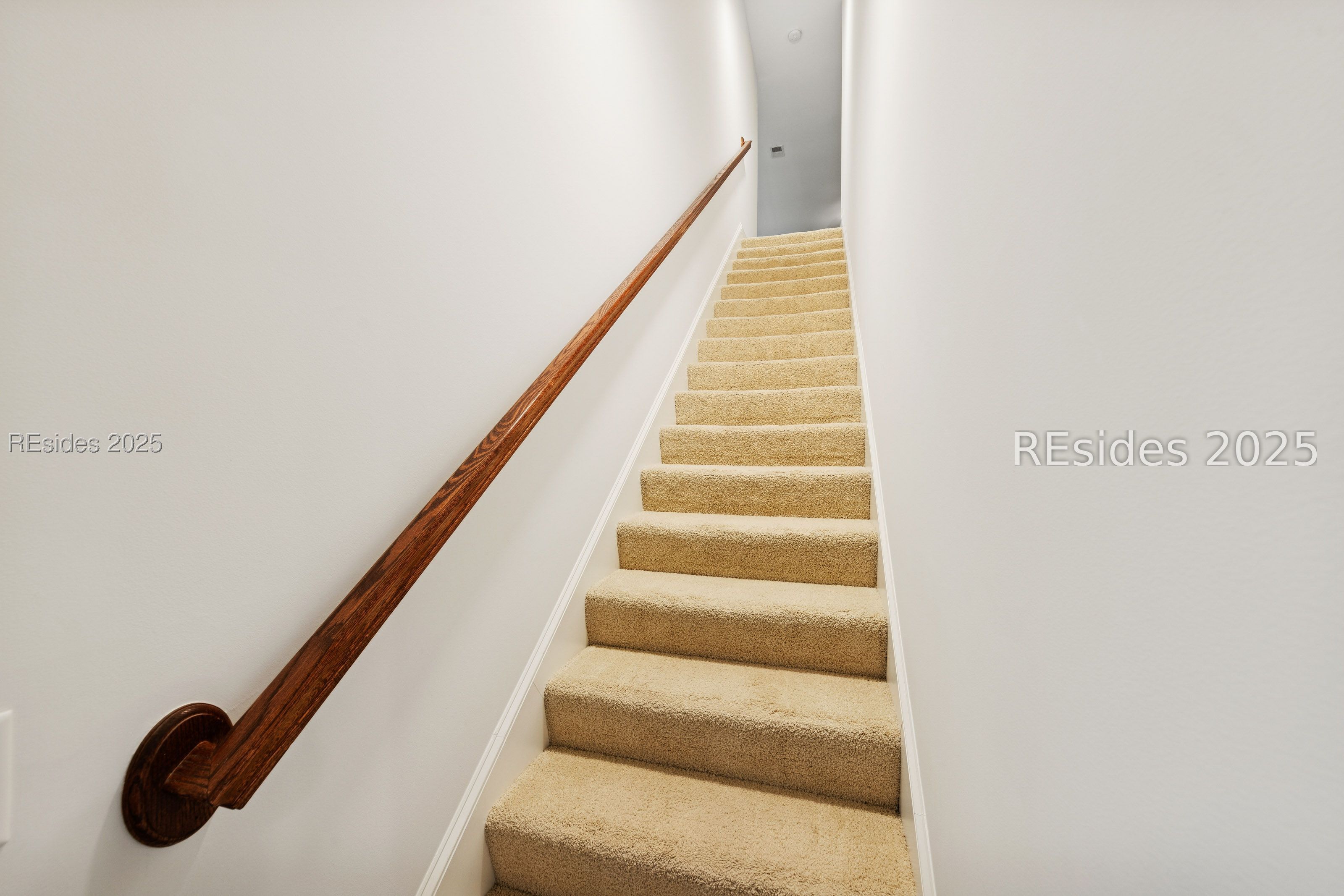 255 Bamberg Drive