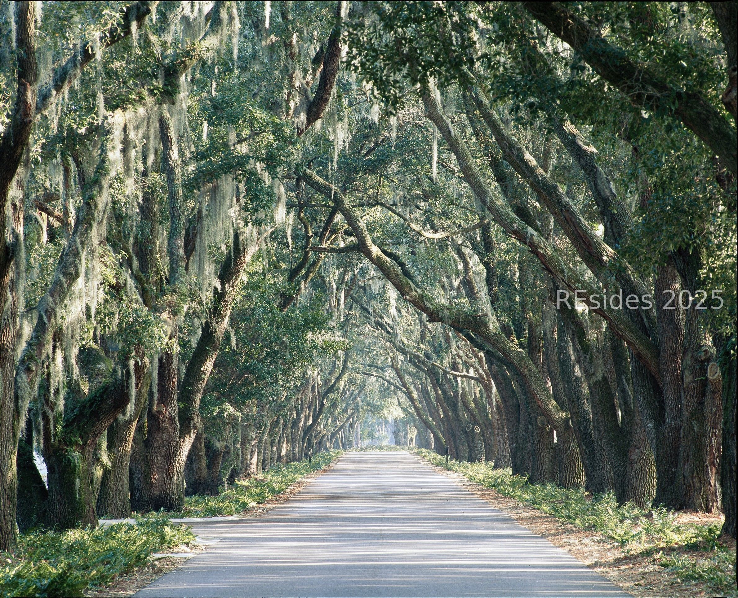 77 Belfair Oaks Boulevard