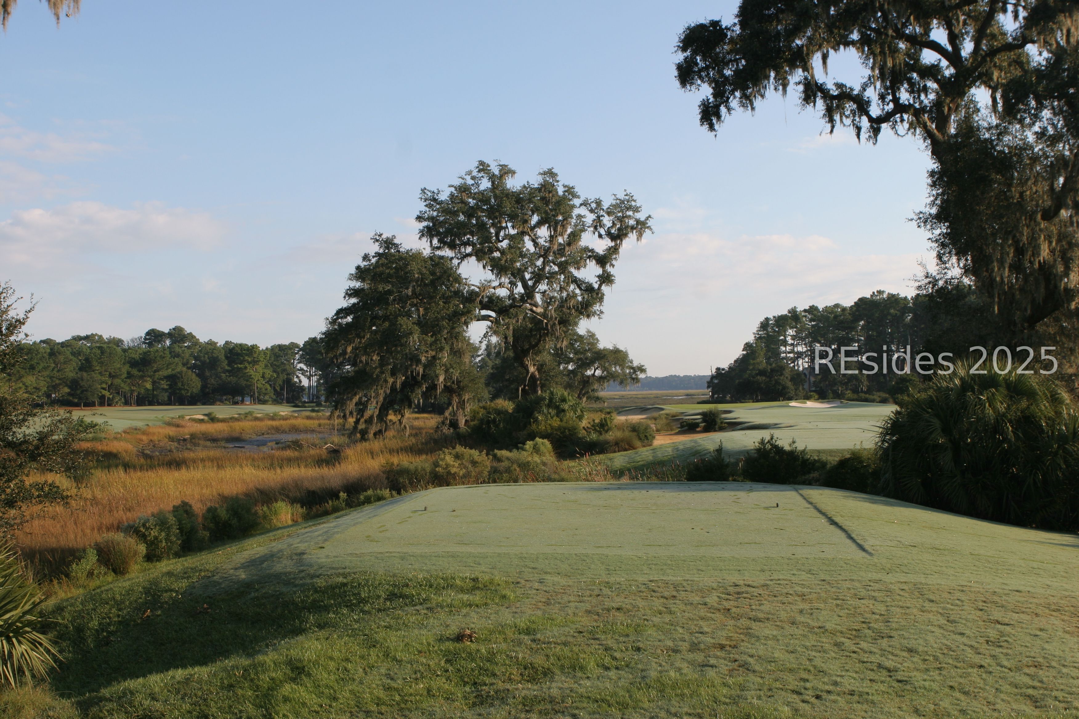 77 Belfair Oaks Boulevard