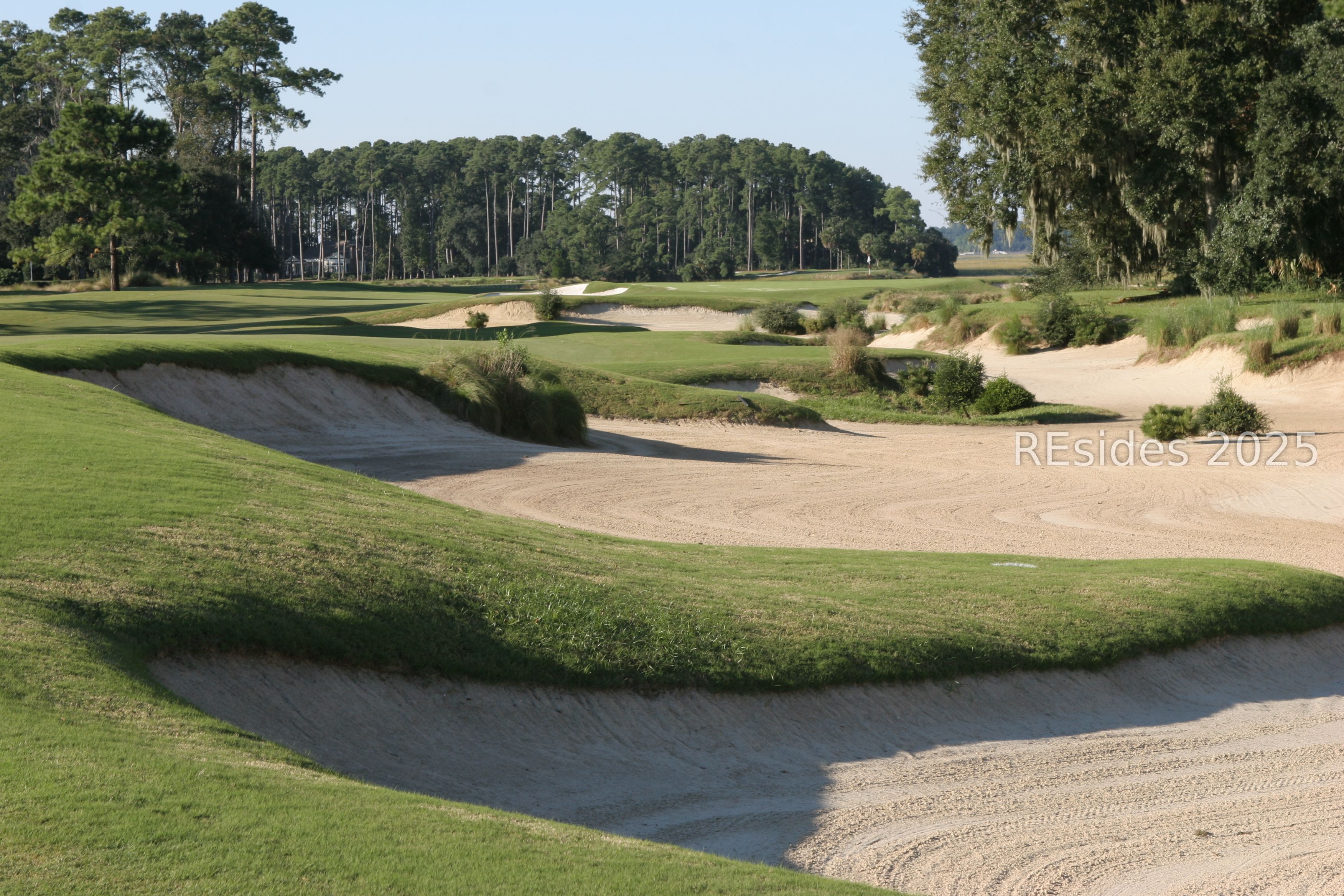 77 Belfair Oaks Boulevard