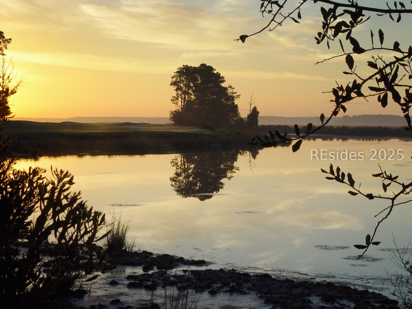 77 Belfair Oaks Boulevard