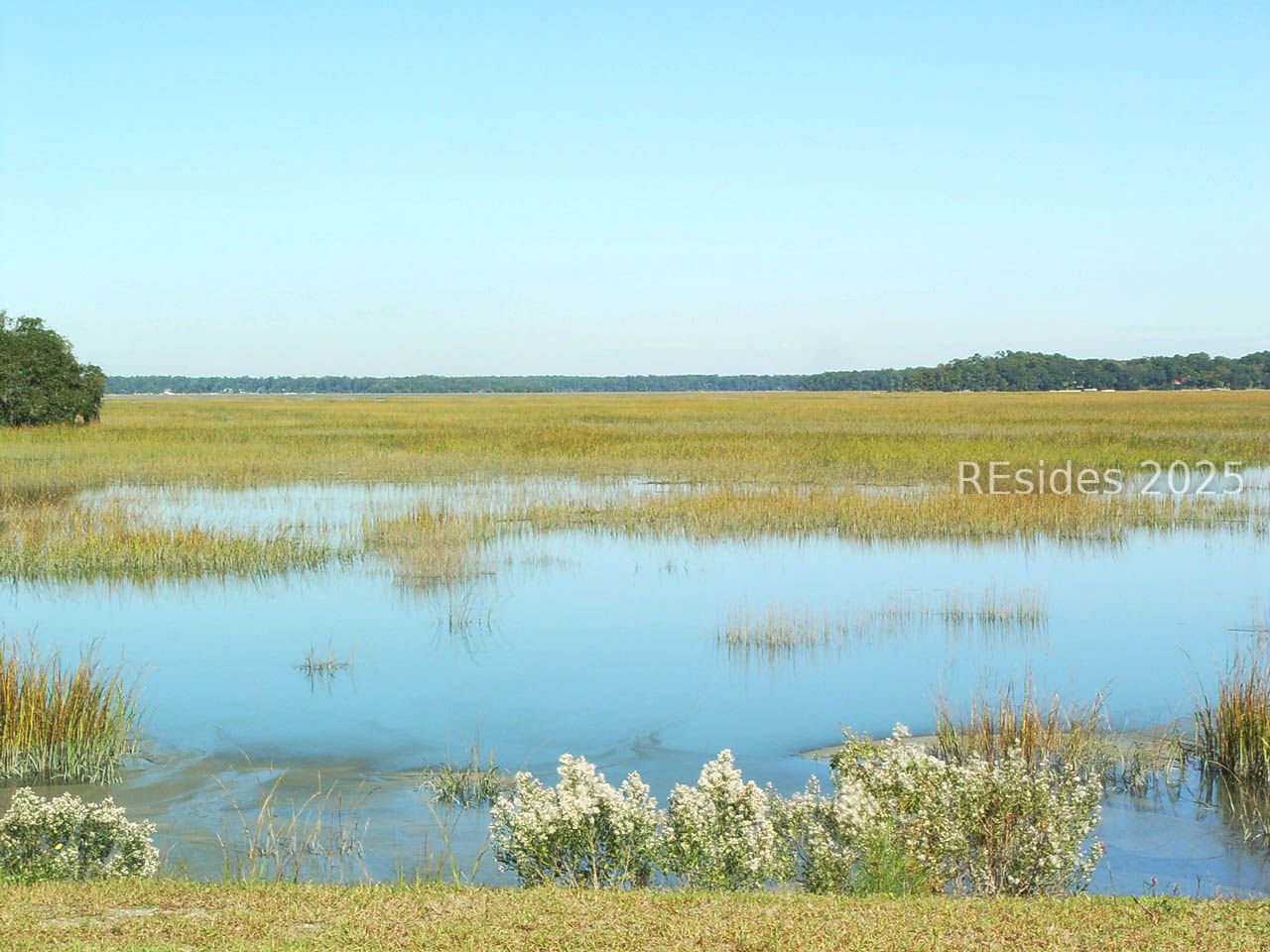 77 Belfair Oaks Boulevard