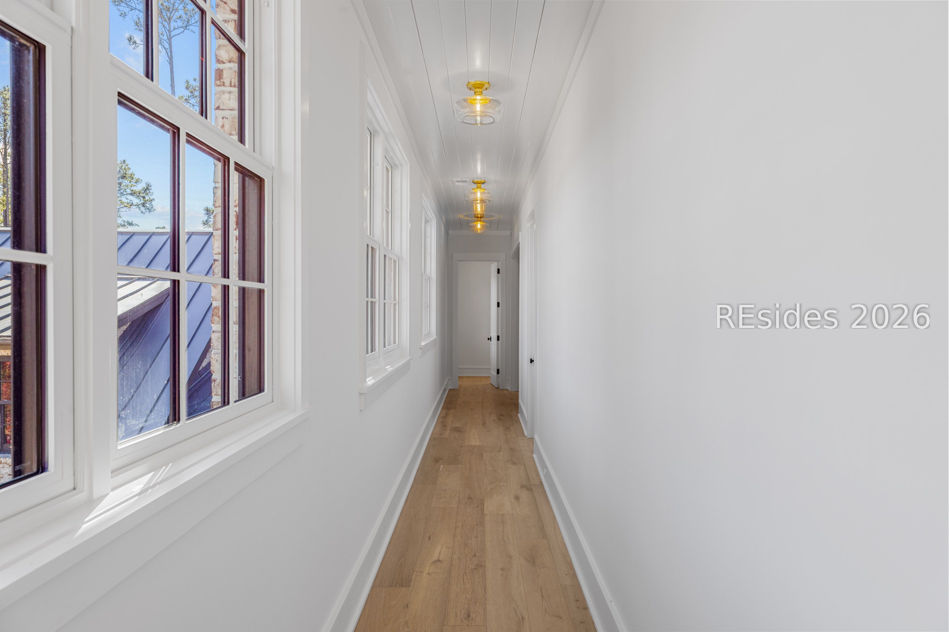 15 Lyonia Street