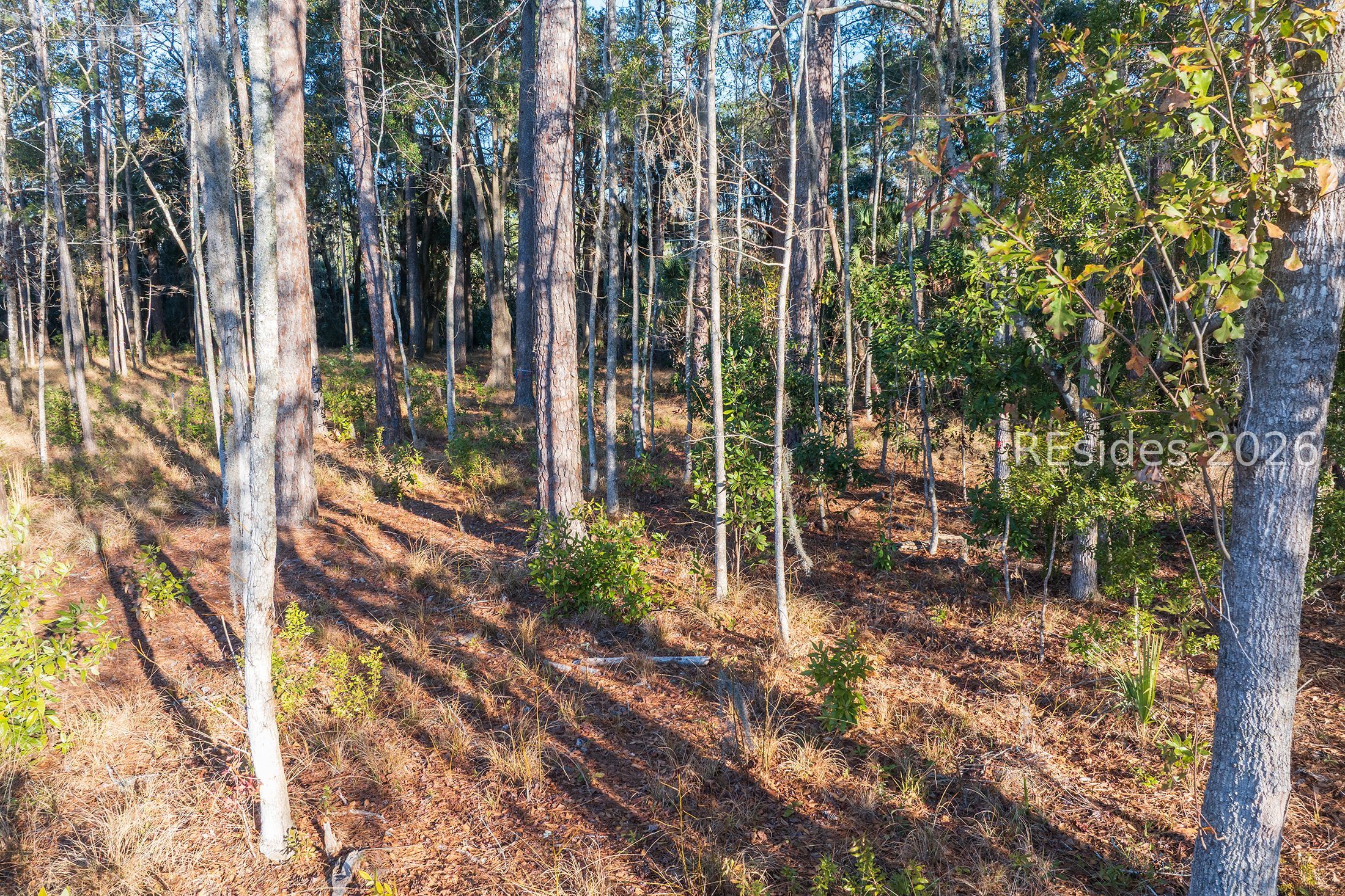 196 Vinson Road