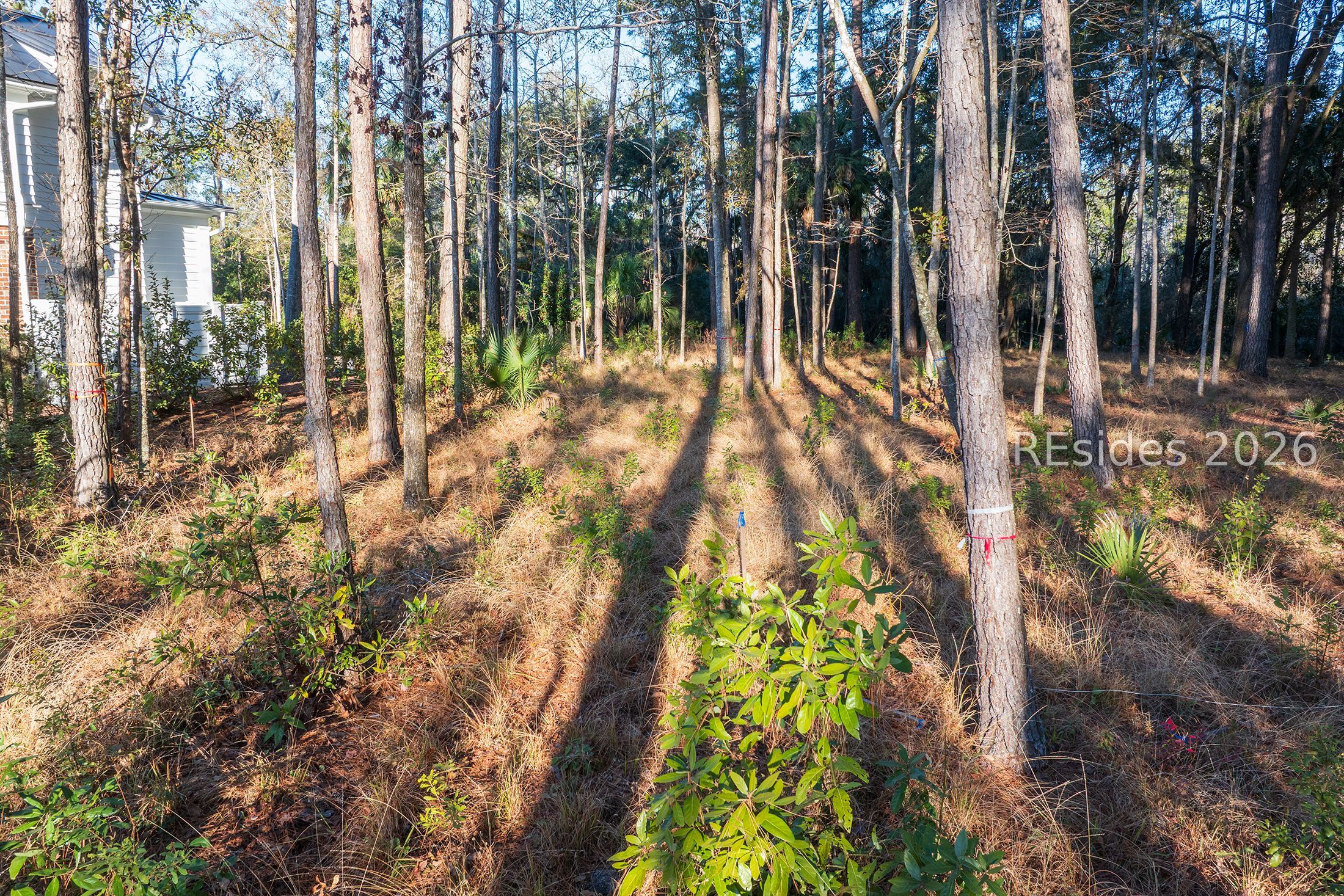 196 Vinson Road