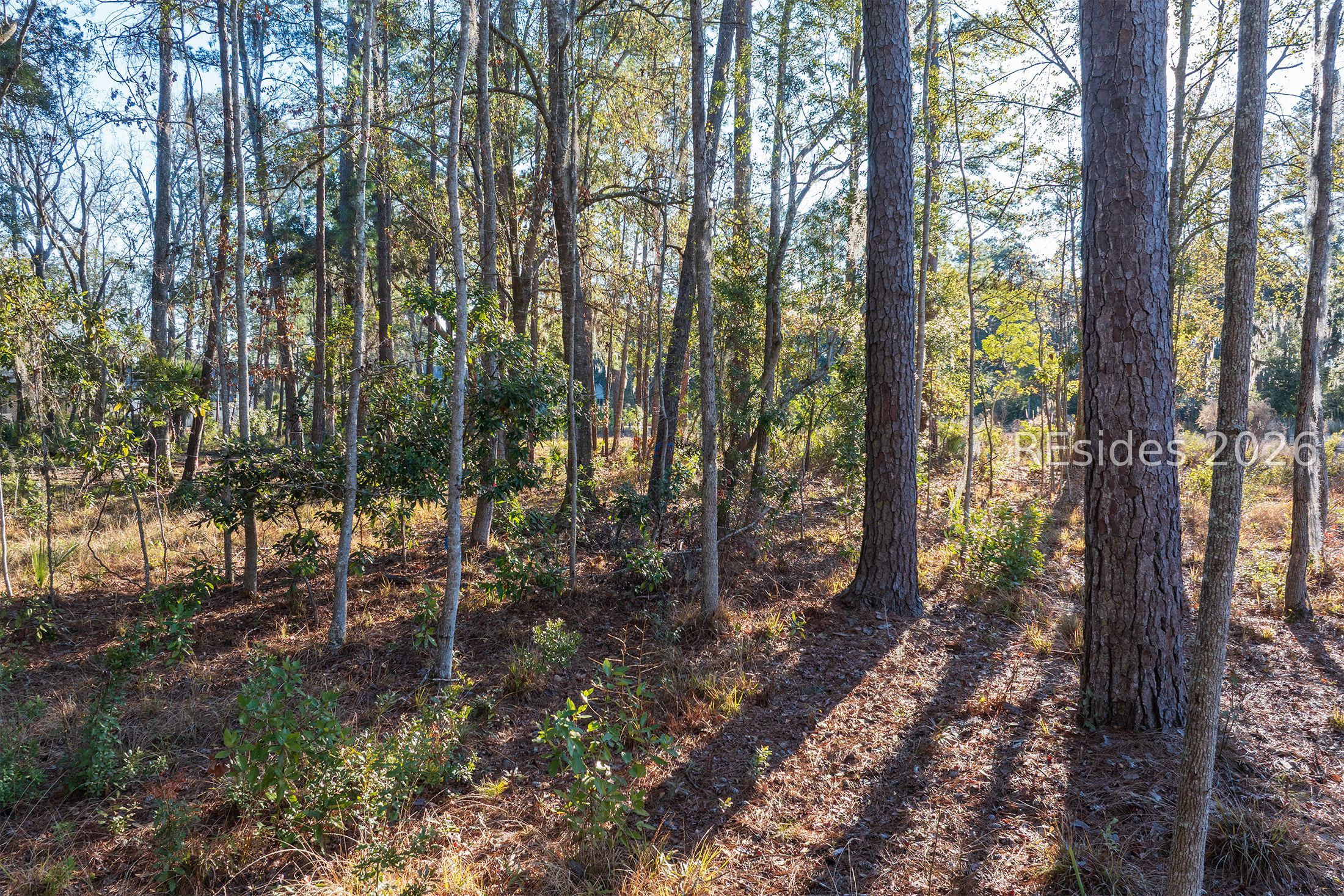 196 Vinson Road