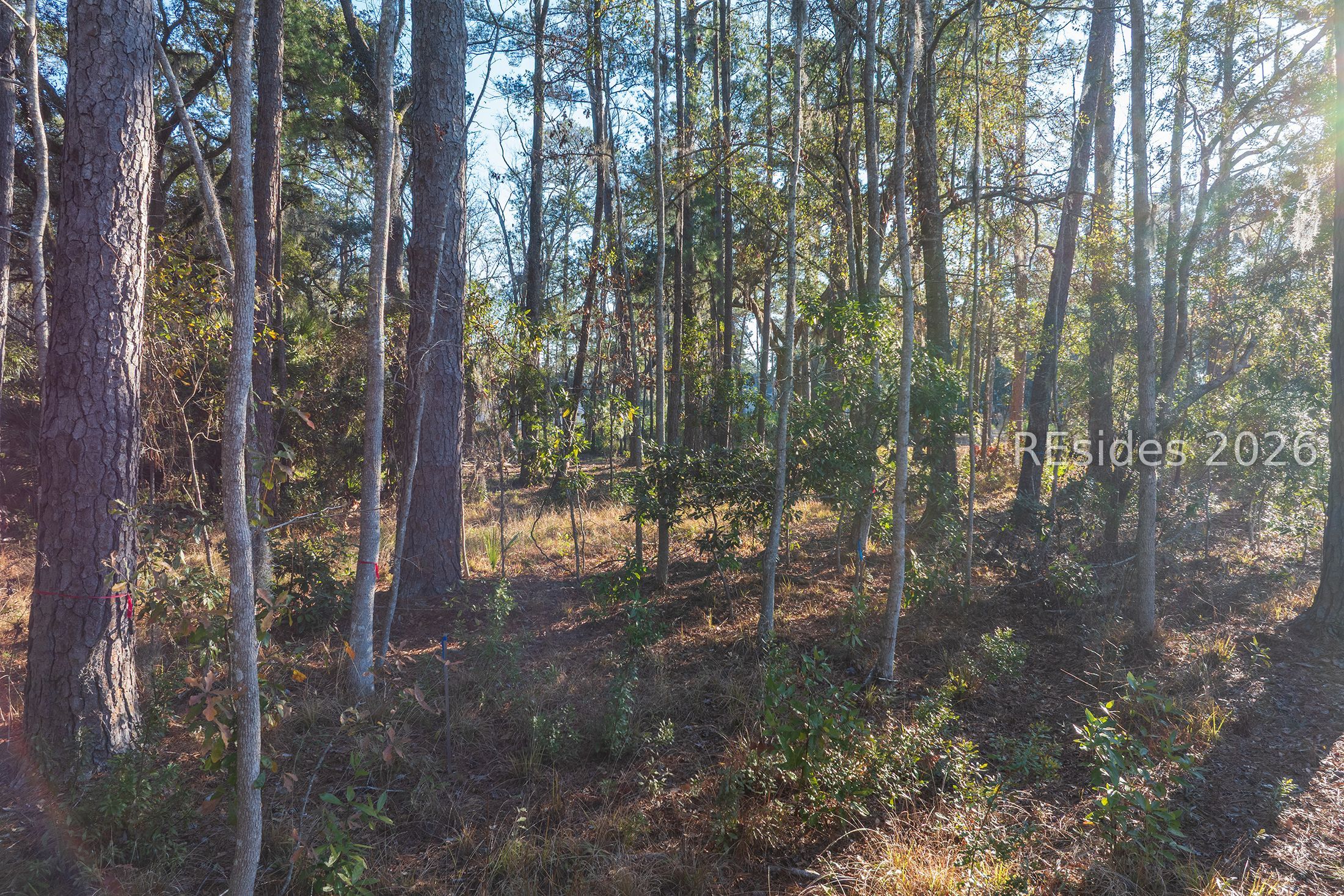 196 Vinson Road