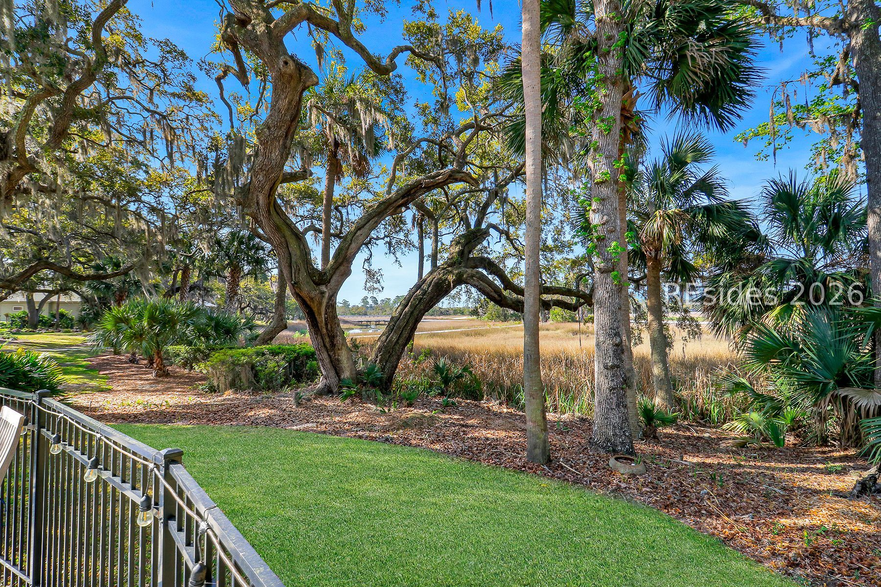 24 Spartina Point