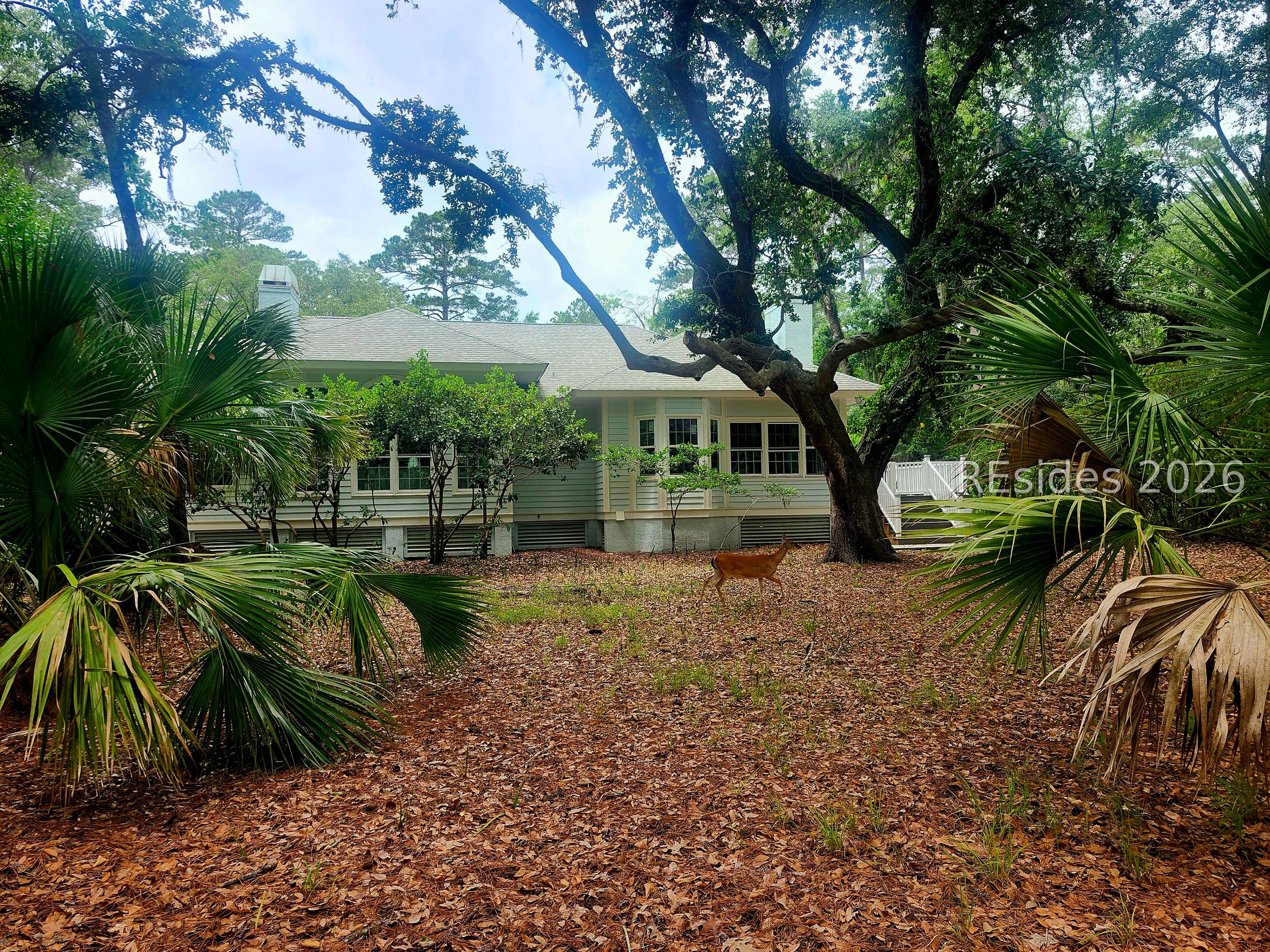 14 Rose Hill Drive