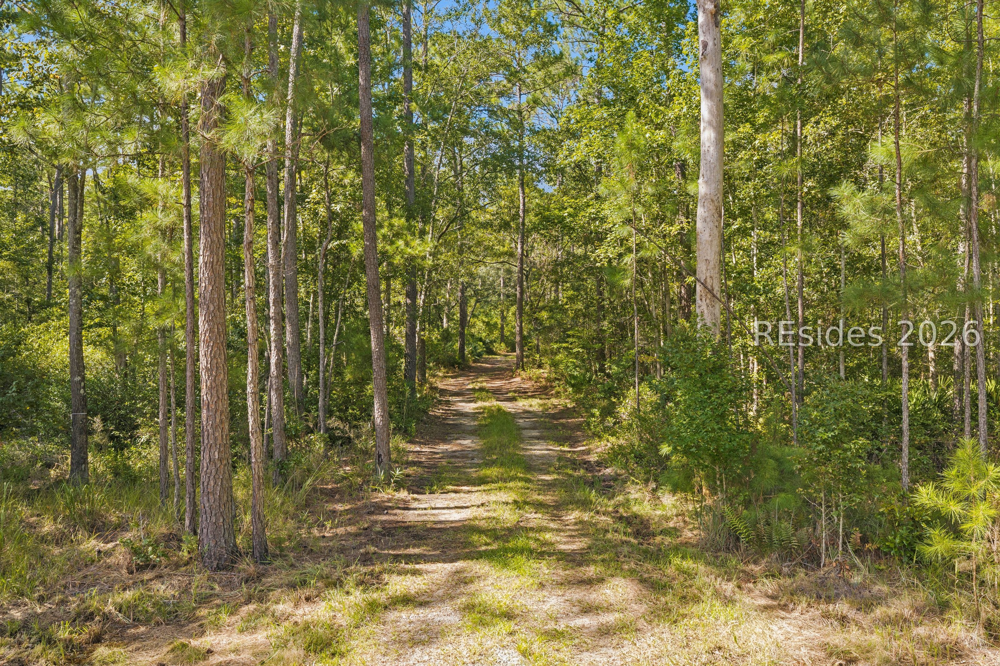 364 Old Palmetto Bluff Road