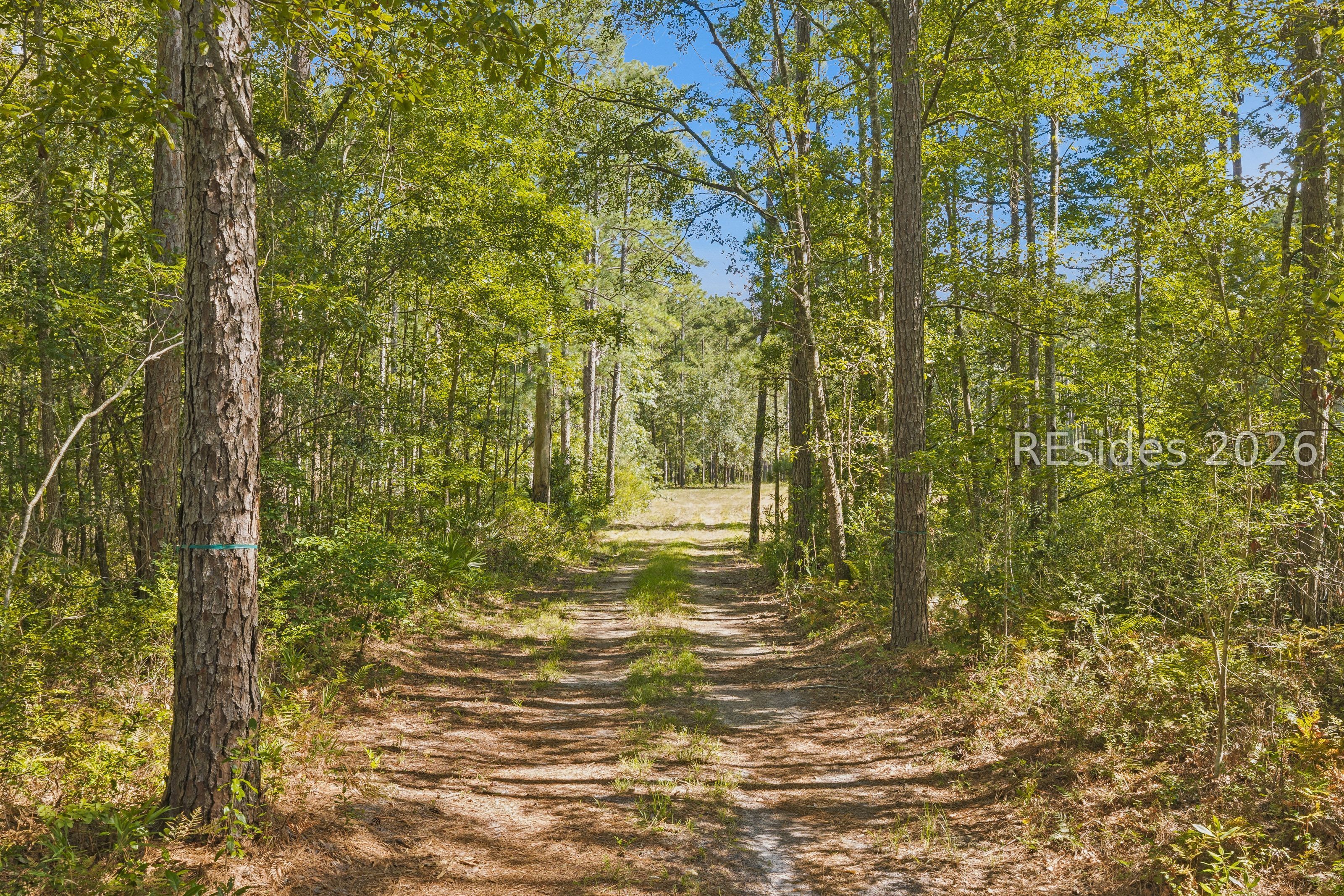364 Old Palmetto Bluff Road