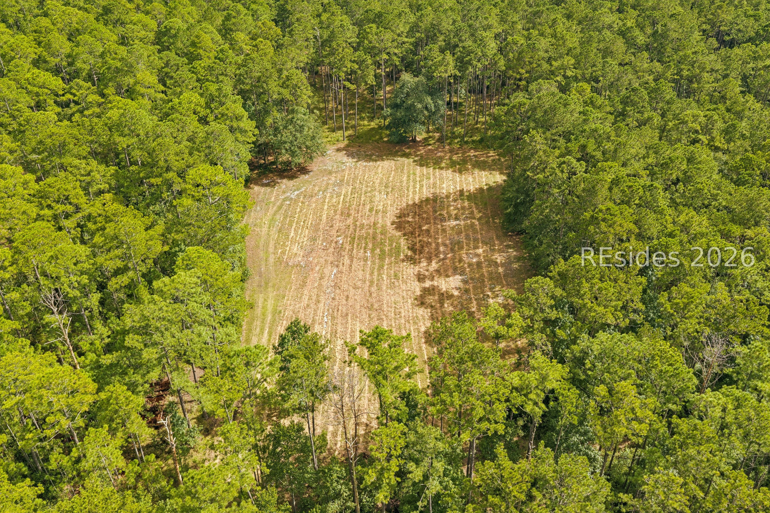 364 Old Palmetto Bluff Road