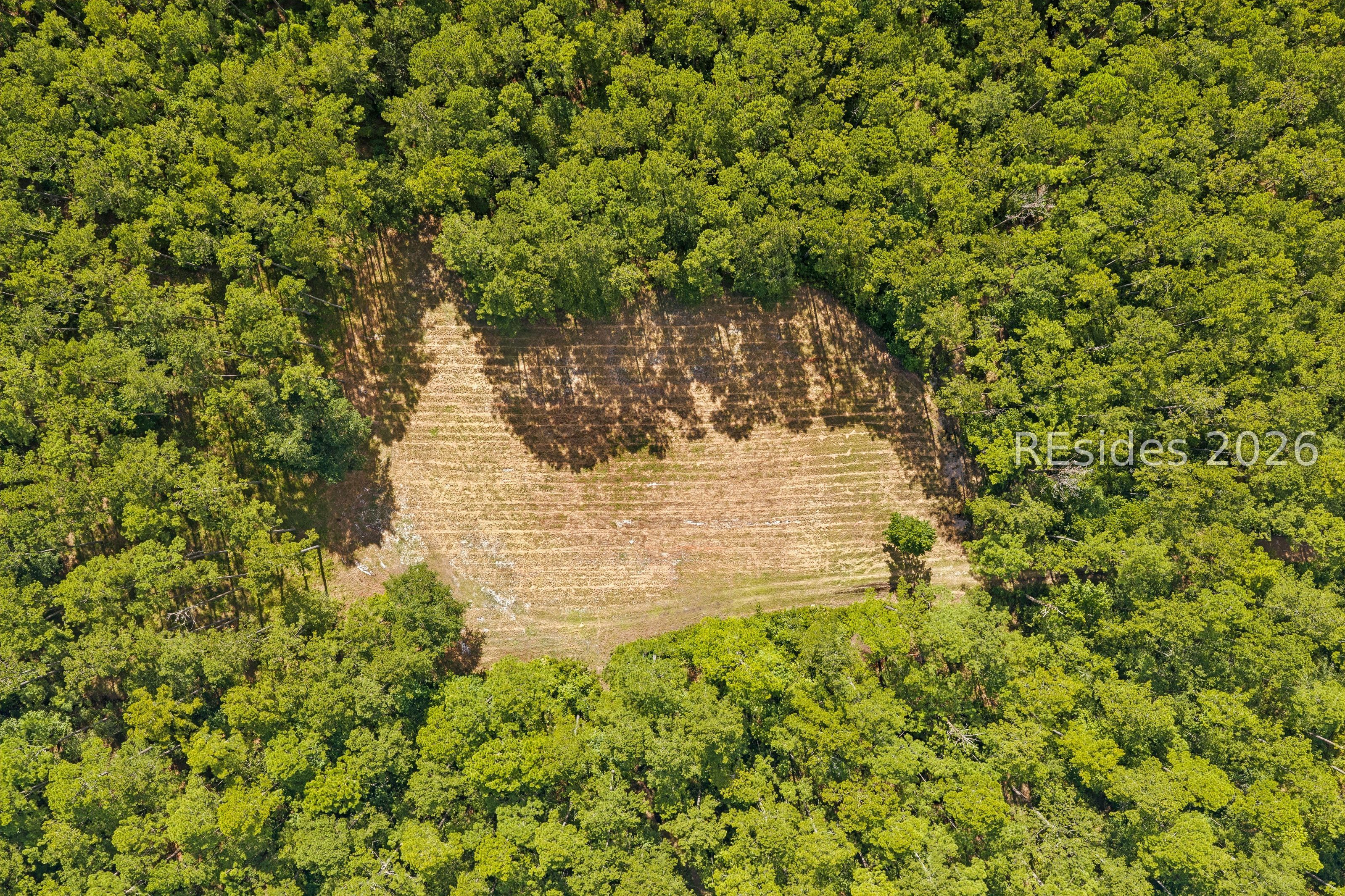 364 Old Palmetto Bluff Road