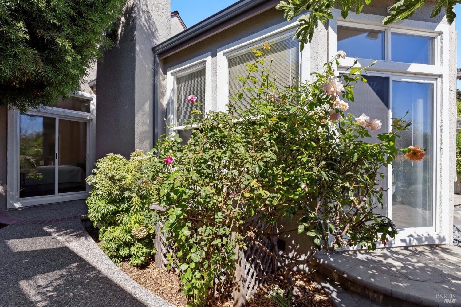 2029 Falcon Ridge Dr