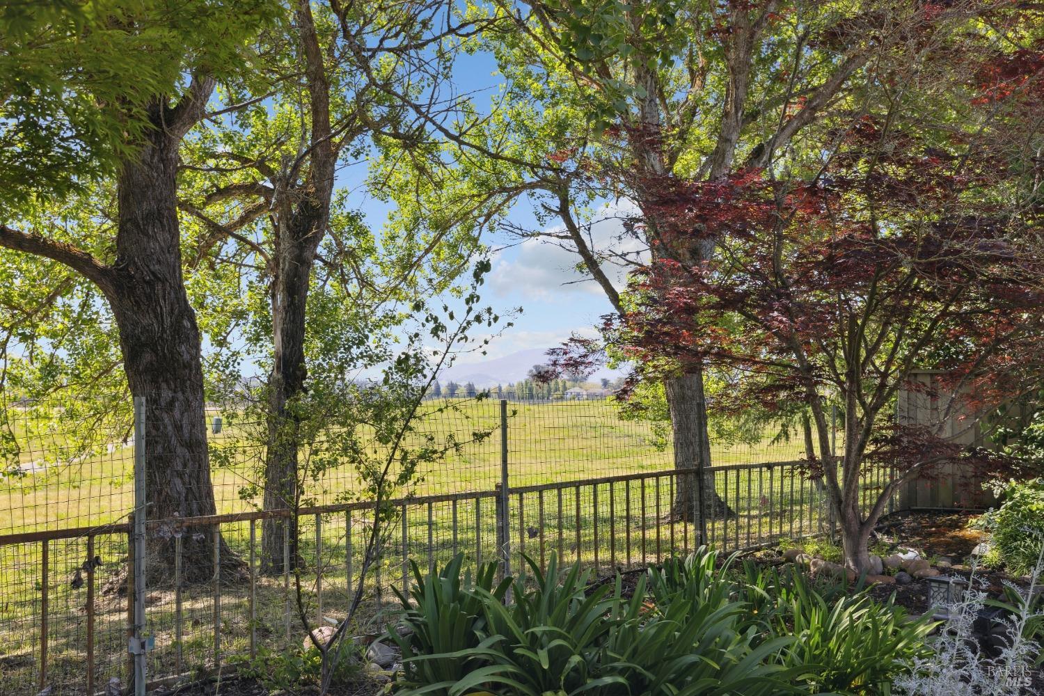 1876 Adobe Creek Dr