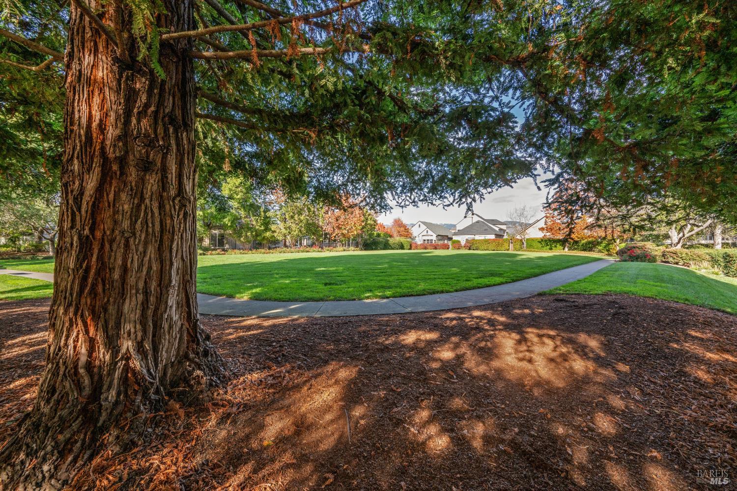 1889 Falcon Ridge Dr